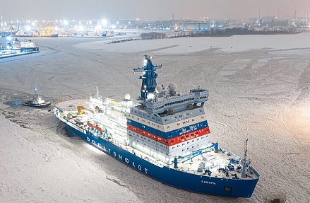 Замерзший Финский залив создал проблемы с ледокольной проводкой судов