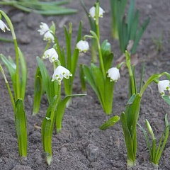 Картина недели: 10 — 17 апреля