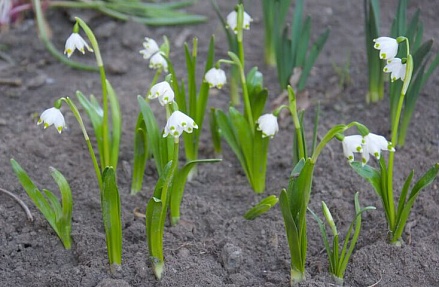 Картина недели: 10 — 17 апреля