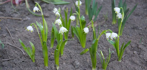 Картина недели: 10 — 17 апреля