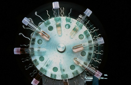 Выявляемость онкологии: растет и количество, и качество