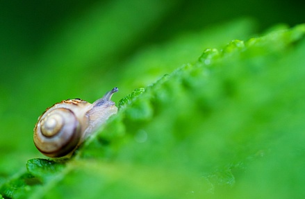 Картина недели: 1 — 7 ноября