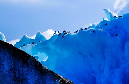 Картина недели: 9 — 16 января