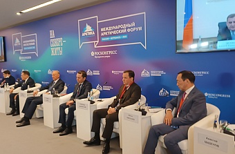 Россия создаст инвестиционный фонд развития Арктики?