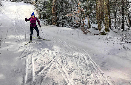 Уже более 1000 лыжников зарегистрировались на юбилейный Югорский лыжный марафон