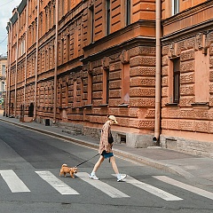 Картина недели: 7 — 14 ноября