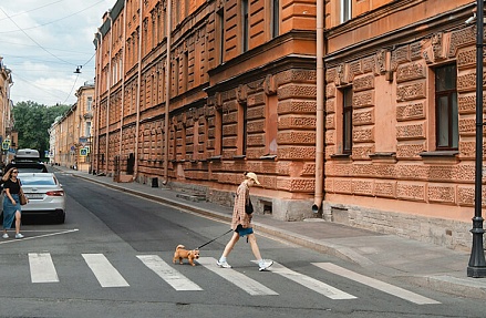 Картина недели: 7 — 14 ноября