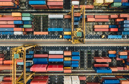 В Петербурге появится информационная система для экспортеров?