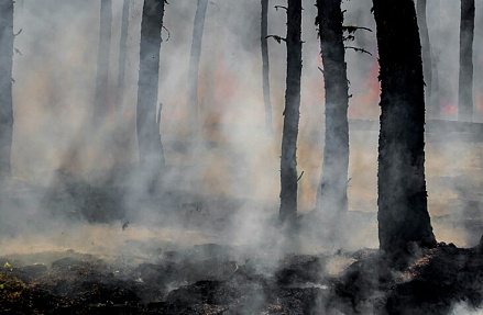 Пожарная обстановка в СЗФО