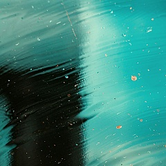 СПбГУП — траектория катастрофы