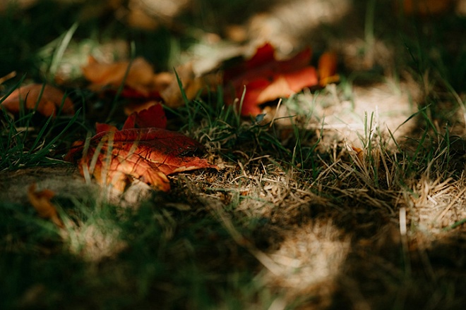 Деловая активность с криминальным оттенком