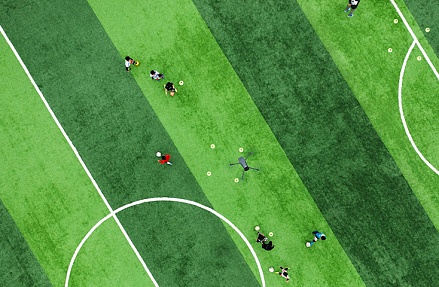 Бизнесу, поддерживающему спорт, надо дать налоговые льготы